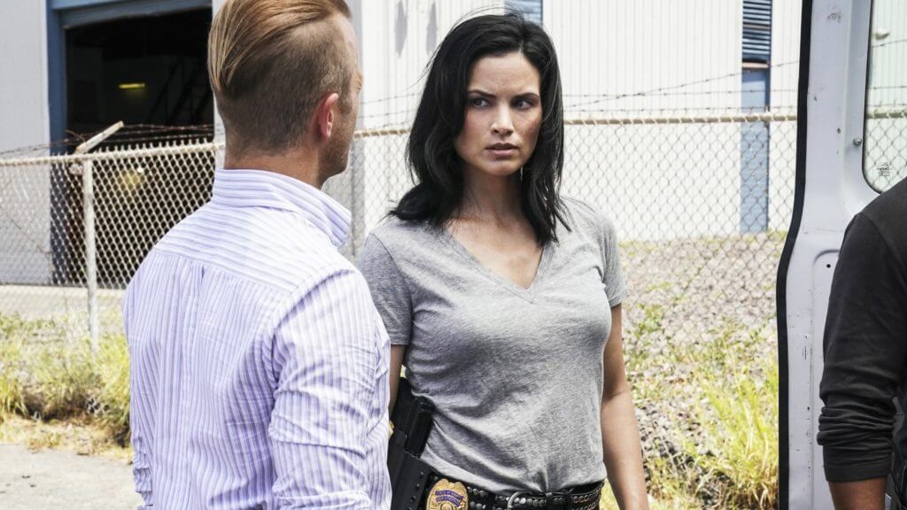 Сериал полиция гавайев 10 сезон Сериал полиция гавайев 10 сезон