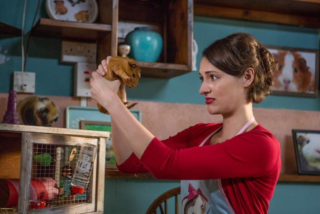 Сериал Fleabag Сериал Fleabag